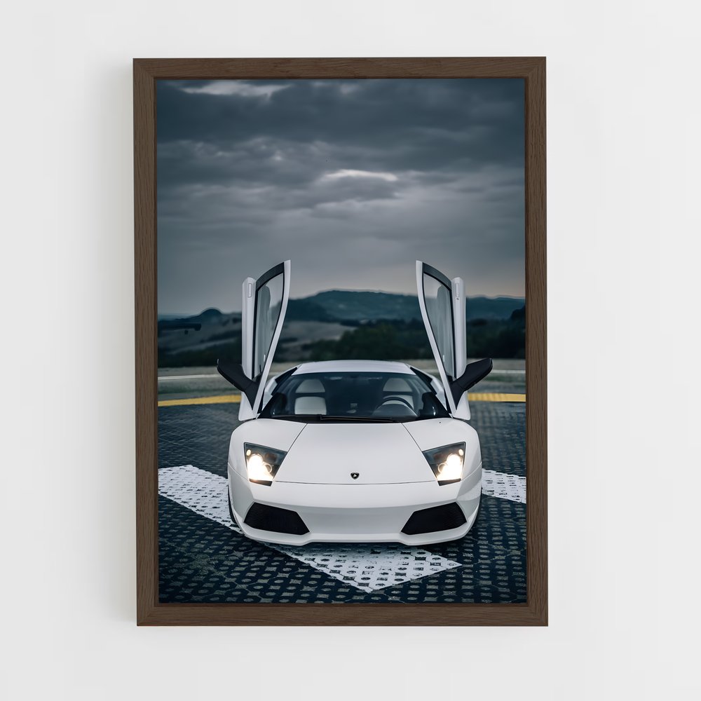 Poster Lamborghini Blanc (vue 5)